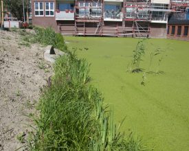3 Den Haag Baaklaan - Aqua-Flora matten